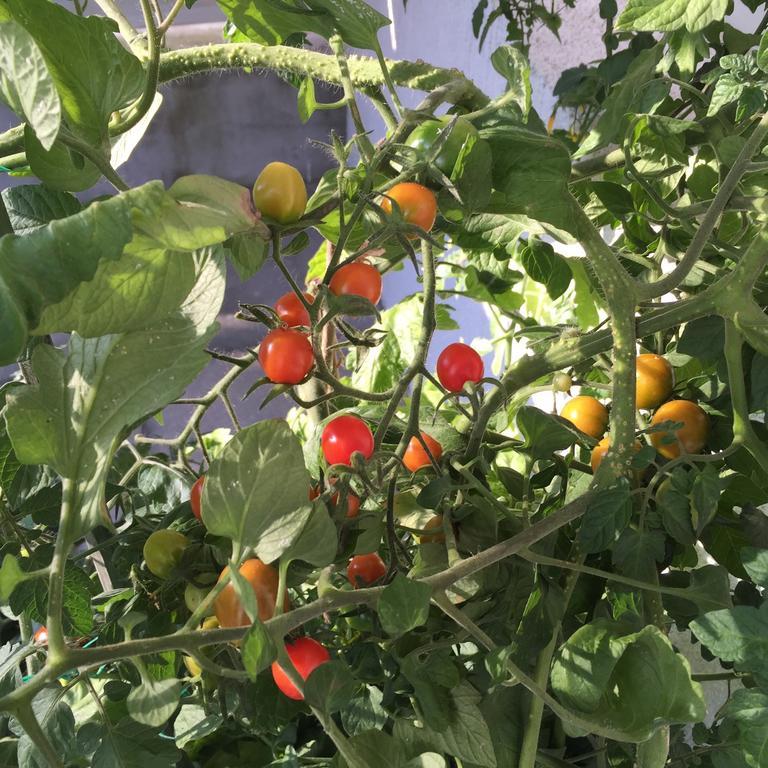 فندق Soeruper Hof المظهر الخارجي الصورة